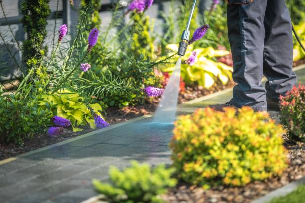 Best Driveway Pressure Washing  in Taft Heights, CA